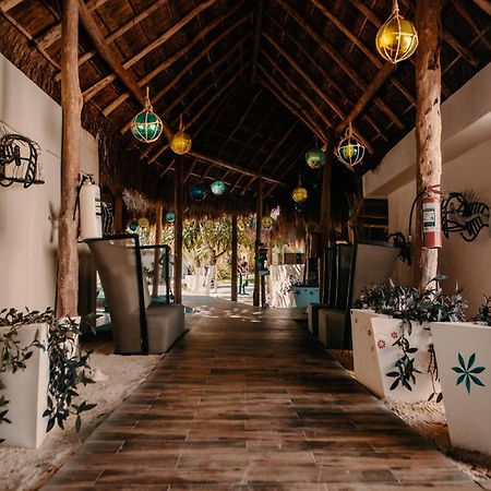 Hotel Paradise Suites Isla Mujeres Extérieur photo