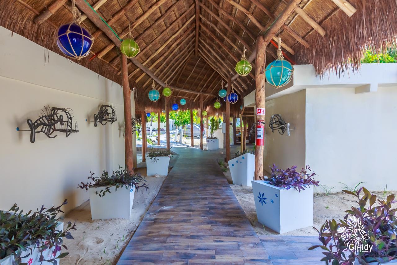 Hotel Paradise Suites Isla Mujeres Extérieur photo