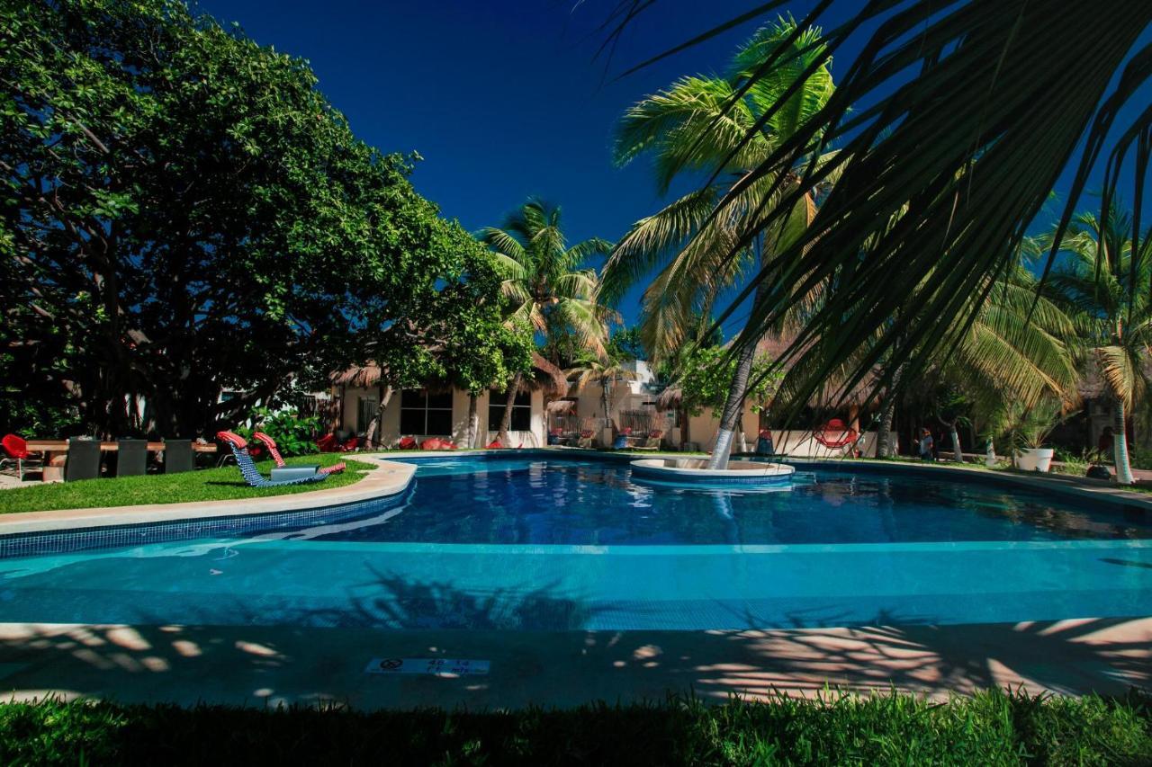 Hotel Paradise Suites Isla Mujeres Extérieur photo
